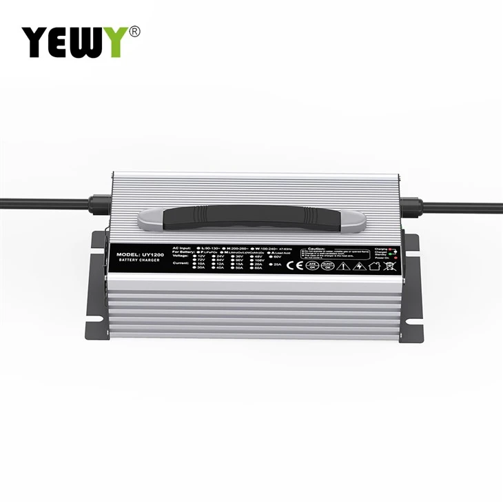 12s Lifepo4 Charger factory